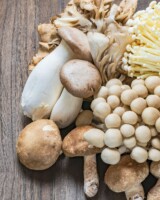 Foraging & Fungi with Andrew Keepence