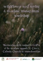 Wildflower Seed Saving and Meadow Management