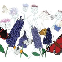 Nature Sketching with Melissa Culhane