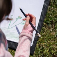 Nature Sketching with Melissa Culhane