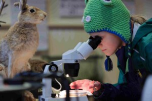 Family Nature Day - Muckross House