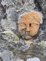 Nature in History - Discover the Hidden Gems of Glendalough