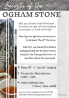 Secrets of the Ogham Stone