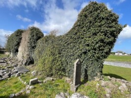 Conservation of the Medieval Church and Graveyard Claregalway