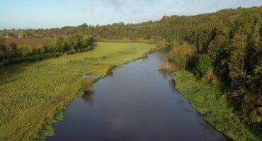 Picnic in the Park - River Past - River Future