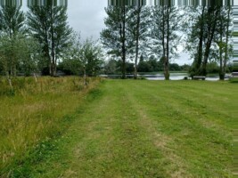 Wansboro Field Meadows – Biodiversity Monitoring Walk