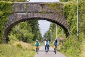 Pedals, Petals & Pollinators: A Botanical Bike Ride on the Streamstown Greenway