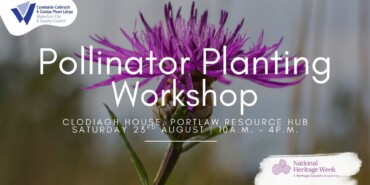 Free One-day Pollinator Planting Workshop in Portlaw