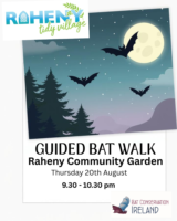 Bats about Raheny