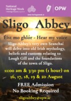 Éist mo ghlór - Hear My Voice