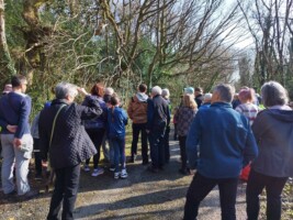 Garadice Woodland Walk