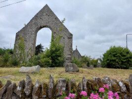 Tour of St Assam's Graveyard, Raheny