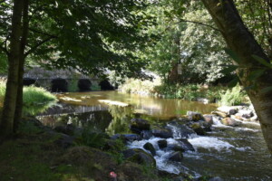 Exploring our Foundations: The River Fane and Monaghan Way Walk & Talk