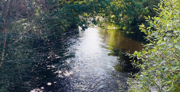 The River Graney and Its Unique Biodiversity: A Walk & Talk