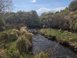 Tour Along a Donegal River Through Time and Place