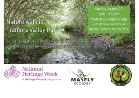 Nature walk in Tramore Valley Park