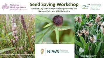Seed Saving Event with Áine Ní Fhlatharta