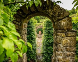 Garden Tours at Salthill Gardens