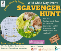 Wild Child Day Event - Scavenger Hunt
