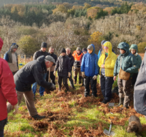 Native Woodland Expansion Field Trip