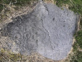 Rock Art & the River Behy - Lughnasa Gathering at Coomasaharn
