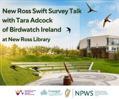 The Swift Survey of New Ross talk with Tara Adcock of Birdwatch Ireland