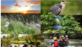 The River Goul: A River That Connects Us