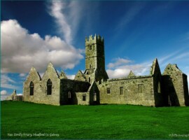 Guided Tours of Ross Errilly Friary