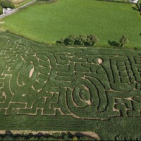 Abbeyleix Vitality Hub Bike ride to Shanahoe's Maize Maze at Dealgrove Farm