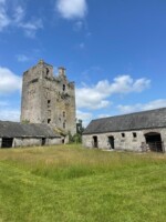 The Tower, the Owl and the Meadow: Knockelly Castle