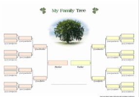 Explore Your Family Tree