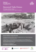 Seaweed Foraging with Oonagh O'Dwyer