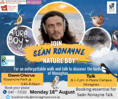 Talk with Seán Ronayne