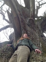 Forest Therapy at Derrycarne Wood