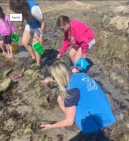 Shoreline Marine Creature Survey