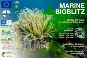 Marine BioBlitz - Explore Marine Biodiversity in Dun Laoghaire