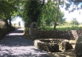 Walk Talk & Boat Trip