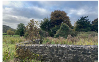 St Feichin’s Mill – its history and conservation  