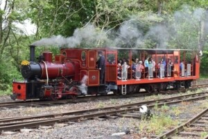Stradbally Woodland Railway, Stradbally, Co. Laois