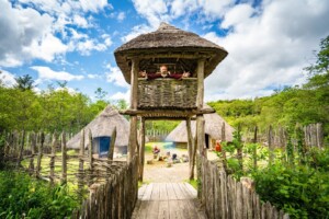 Tales in Irish Mythology
