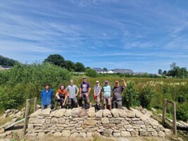 The Living Wall: A Biodiversity Walk in Kiltimagh Park