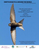 Swifts in Mayo & the World - talk/poster exhibition