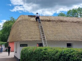 Traditional Thatching Demonstration