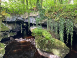 Tour of Toomeens Caves, Kiltannon, Tulla