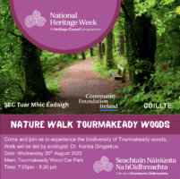 Nature Walk Tourmakeady Woods