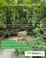 Tree Walk at Tintern Abbey Wexford