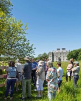 The Trees of Portumna