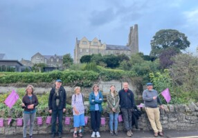 Sand Martin send-off