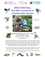 The Little Creatures in a Freshwater Stream | Wild Child Day | Tramore EcoGroup