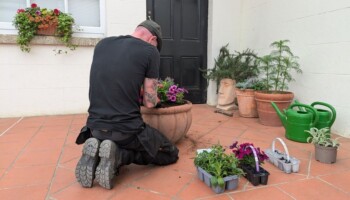 Potting for the Seasons, Workshop.